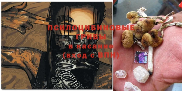 молекула духа Магас