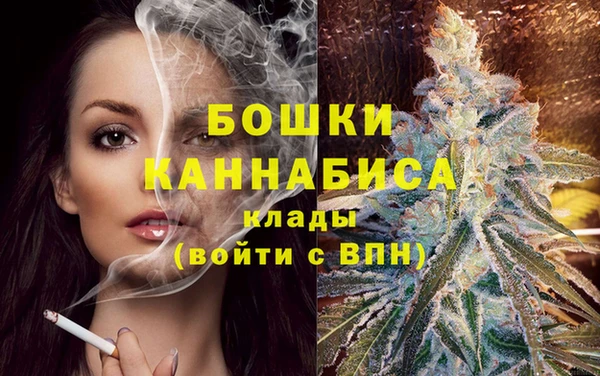 молекула духа Магас
