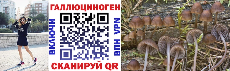 Псилоцибиновые грибы Magic Shrooms Волгоград