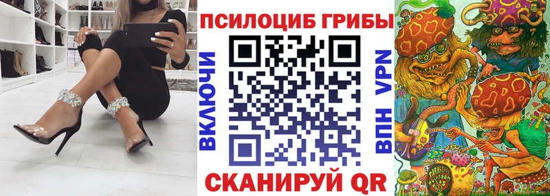 закладки  Волгоград  Псилоцибиновые грибы прущие грибы 